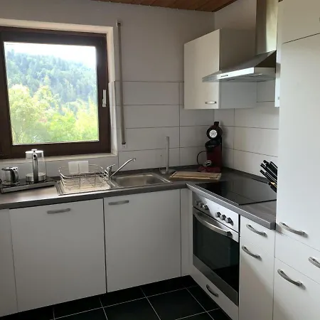Schlossblickwohnung Schiel Apartment