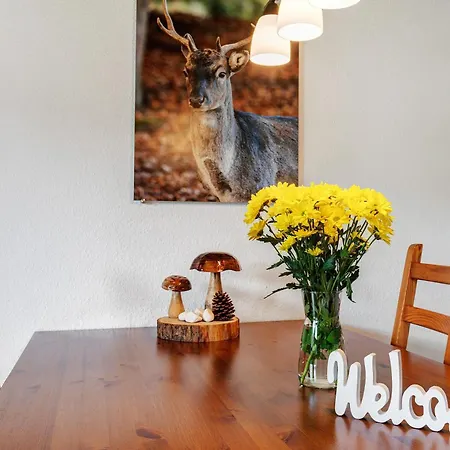 Schlossblickwohnung Schiel Apartman *